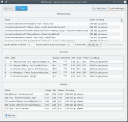 Der MP3Encoder bei der Arbeit